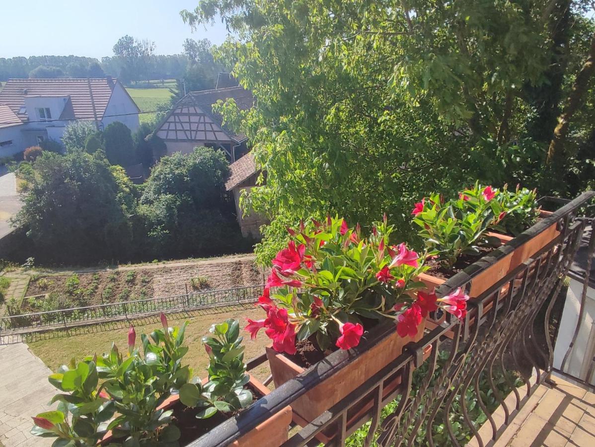 Appartement Des Rives De L'Ehn Krautergersheim Εξωτερικό φωτογραφία